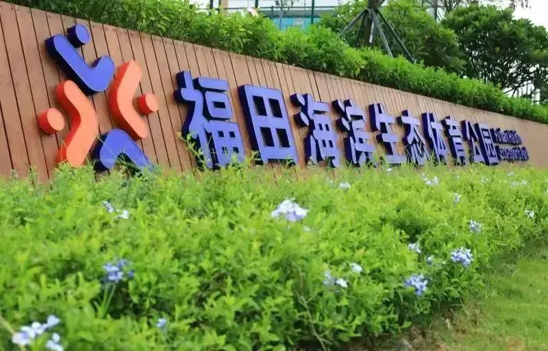资深篮球爱好者如何保持和发展竞技水平_0